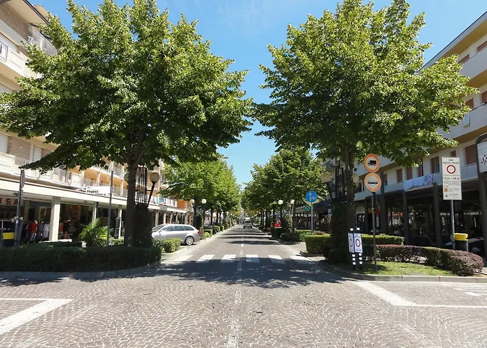 Florida - * 비비오네